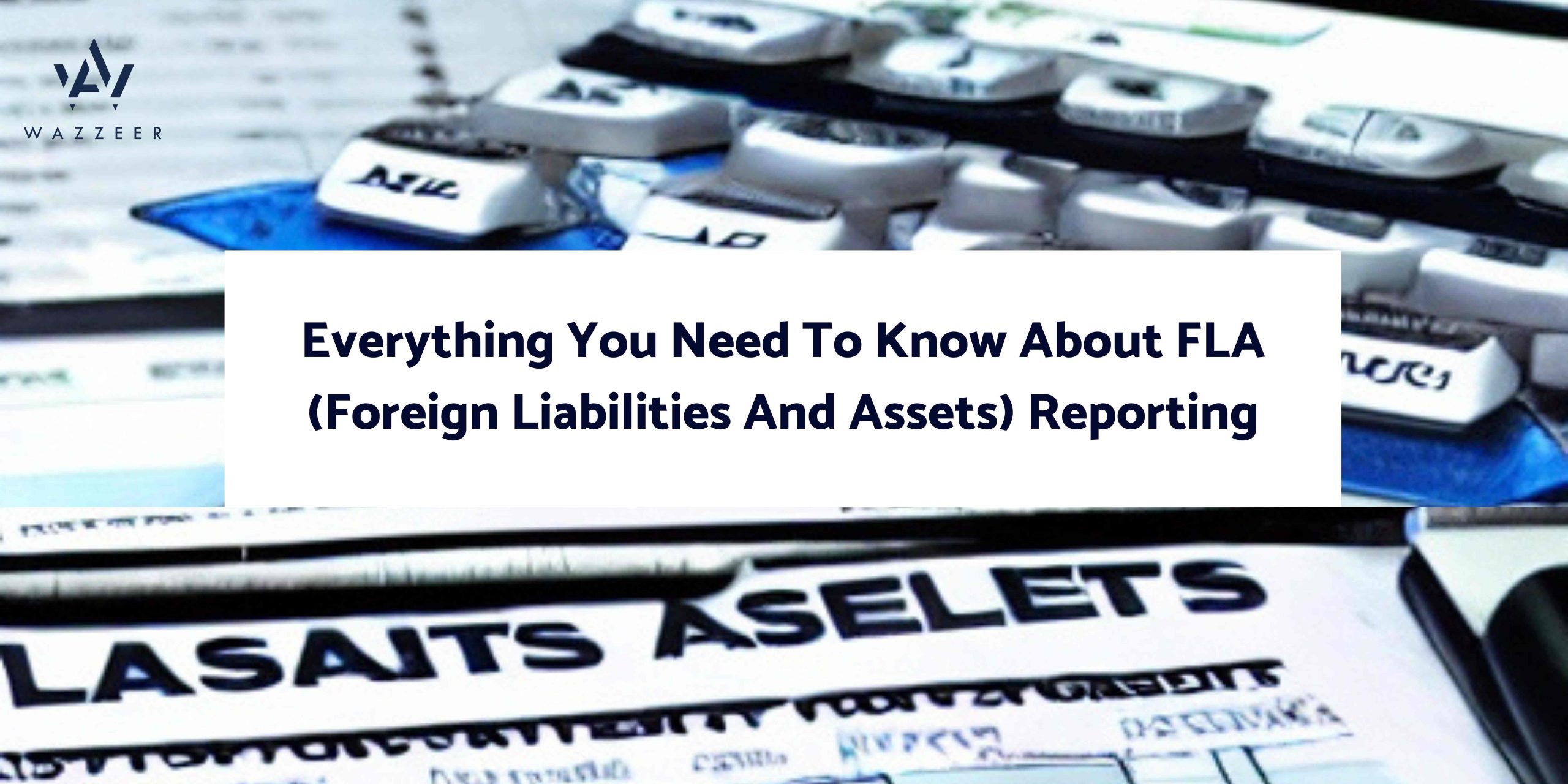 Everything-You-Need-To-Know-About-FLA-Foreign-Liabilities-And-Assets-Reporting-